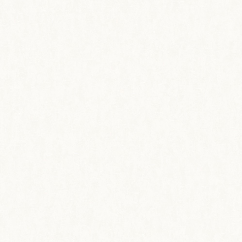 Обои белые однотонные Sicilia виниловые арт. NA8600-11