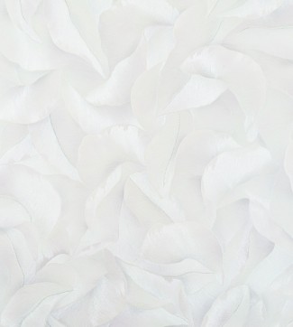 10752-03 Обои дек