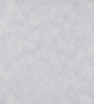 Обои виниловые го