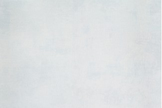 Однотонные голубы