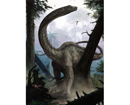 Фотообои Реббахиз