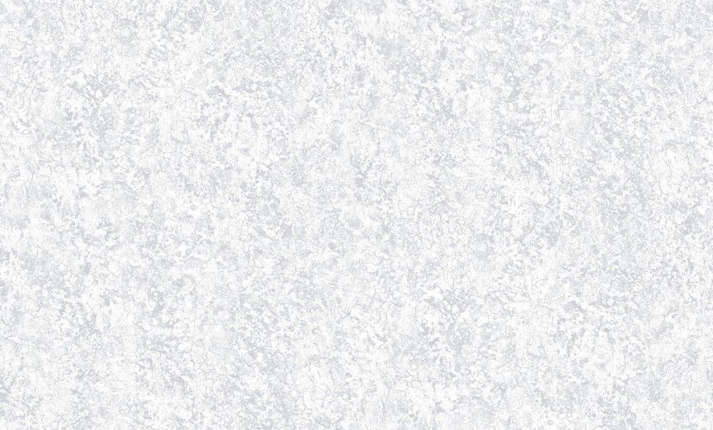 Обои белые однотонные Антураж винил Dolores арт. 168308-00