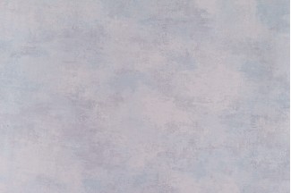 10834-04 Обои дек