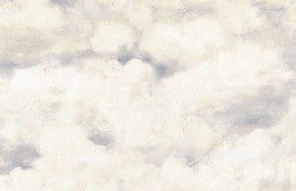 Обои белые винило