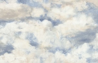 Обои синие винило